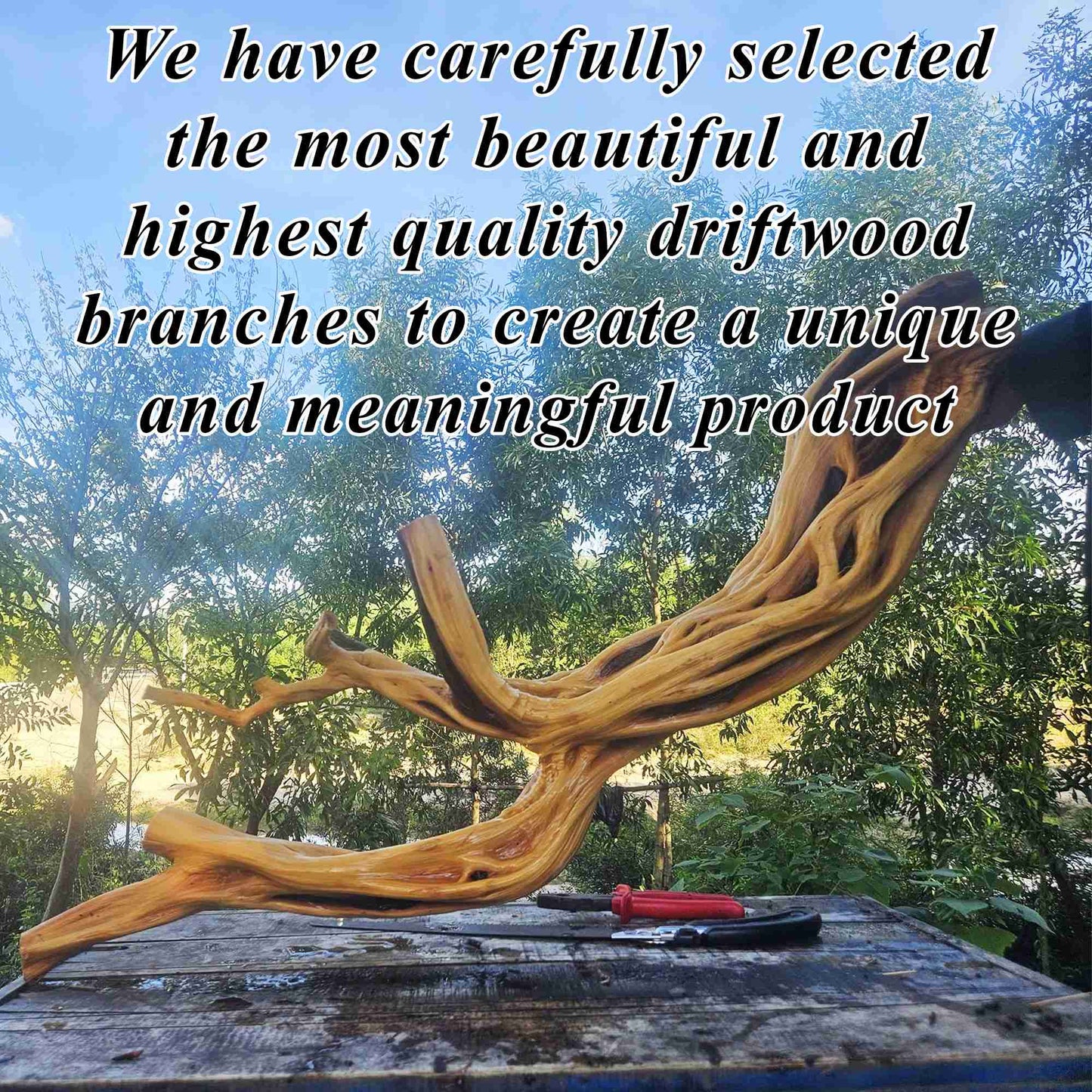 Tree branch book shelves wall mount art solid wood floor bookcase decor