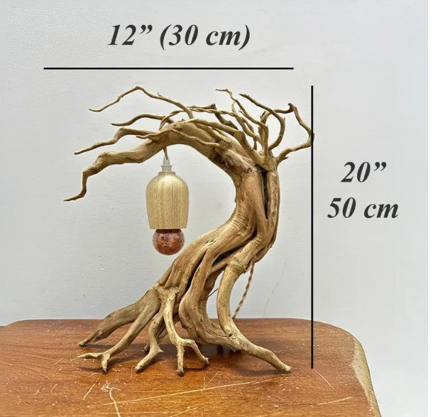 Custom for Fabrice Liegeois