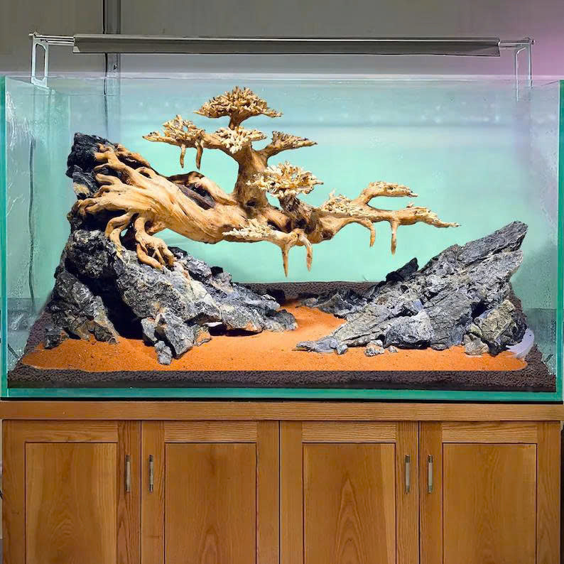 Custom - Kaden Heathcote