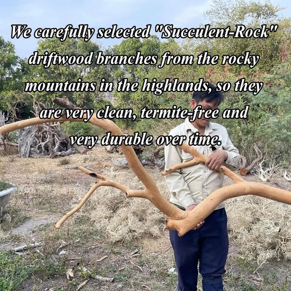 Tree branch shelf wall mount assembly natural wood foor bookcase art custom for home decor