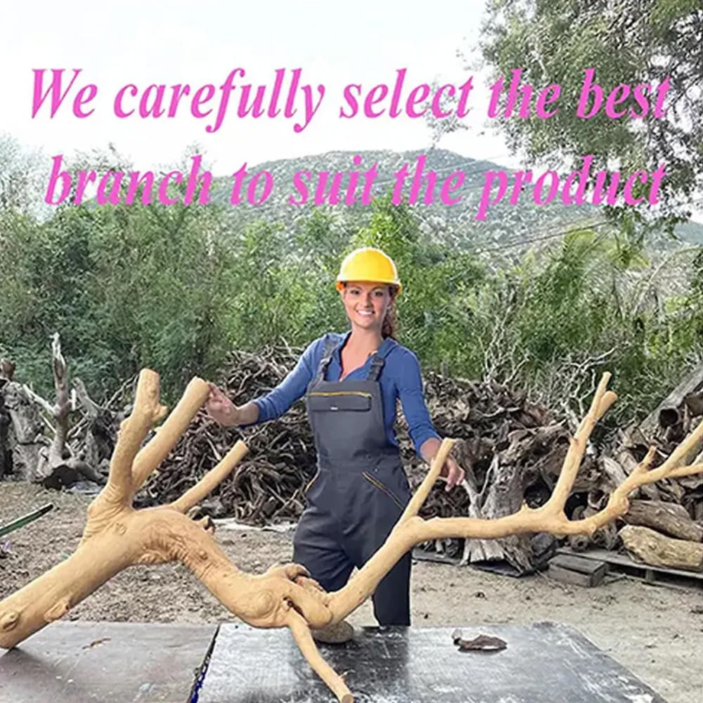 Tree floating shelf natural driftwood branch bookshelf wall mount bookcase rustic furniture decor home art