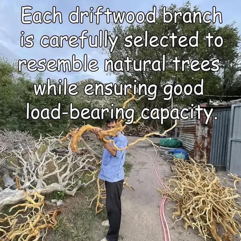 Tree branch corner floating book shelf decor wall mount live edge wood bookshelves driftwood wall art