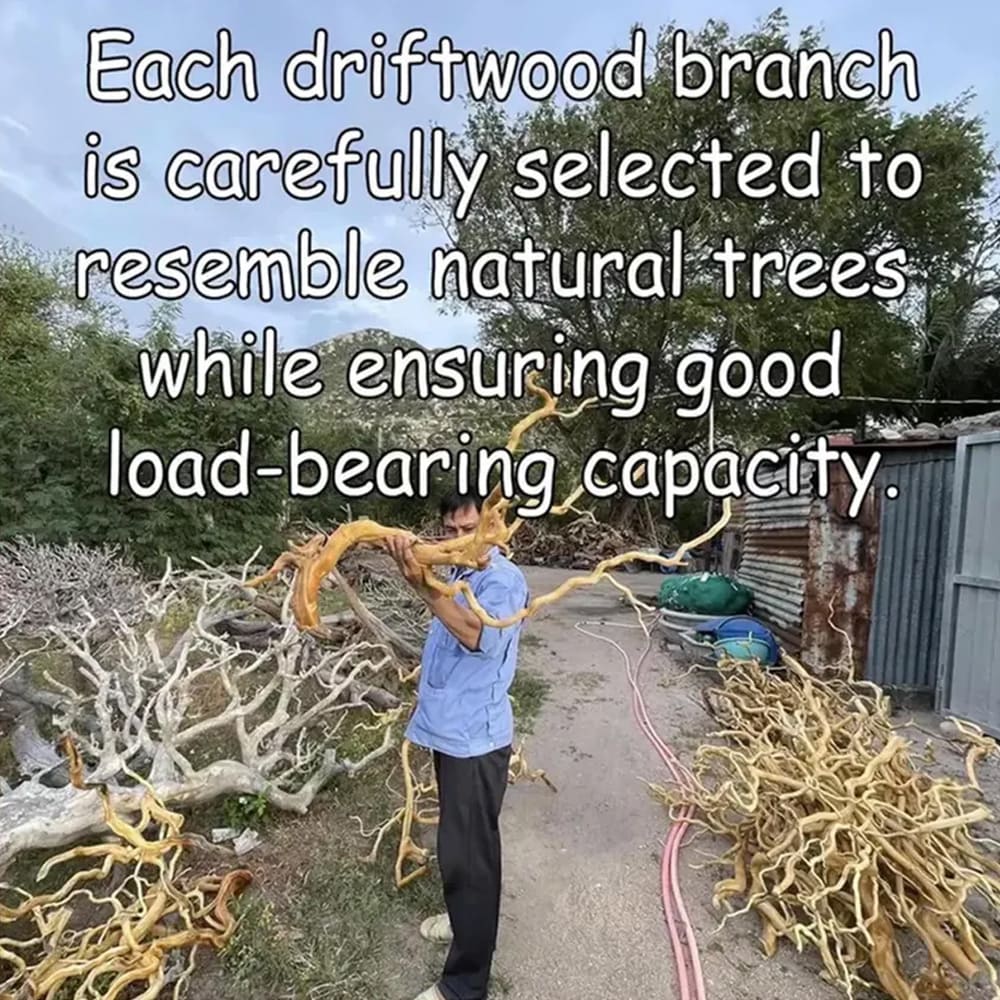 Floating bookshelf tree branch shelf driftwood sculpture book shelf wall mounted art custom bookcase decor home