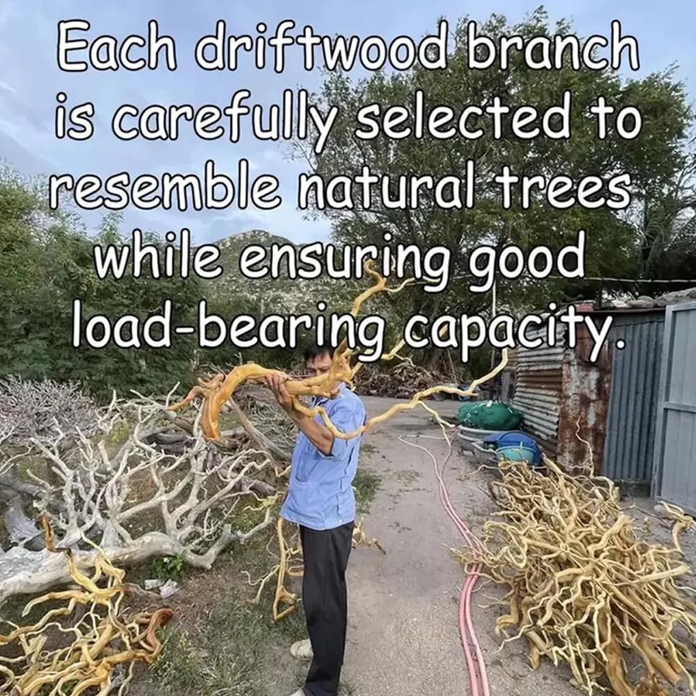 Floating bookshelf tree branch wall mounted book shelf handcrafted carving sculpture reclaimed solid wood bookcase