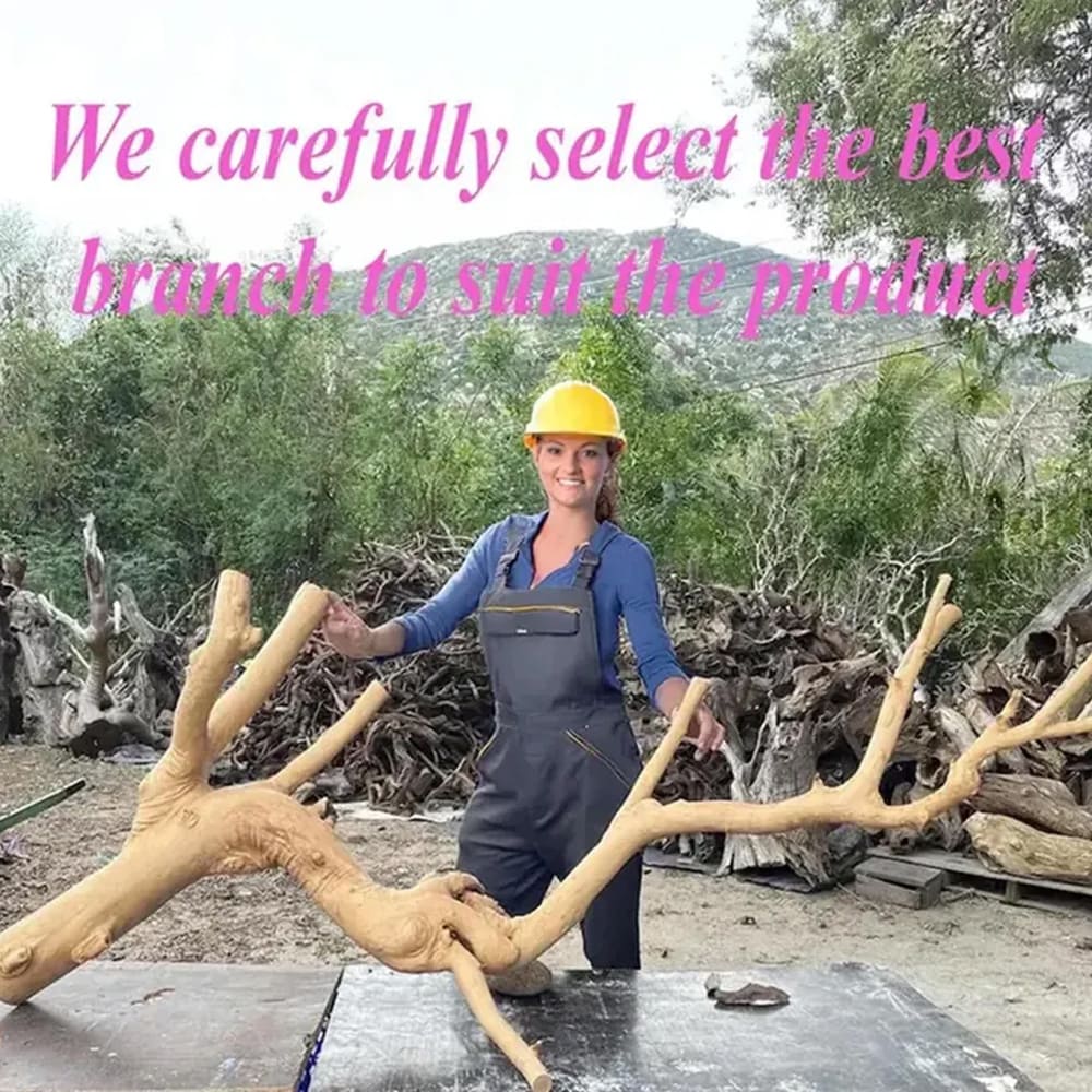 Driftwood tree bookshelf floating book tree shelf solid wood bookcase wall mount shelving on wall living room furniture