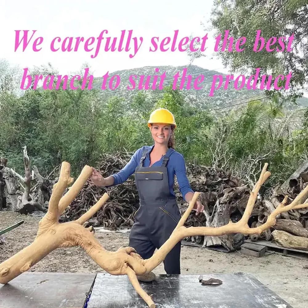 Solid wall mount floating tree branch bookshelf live edge tree shelving natural driftwood branch living room decoration