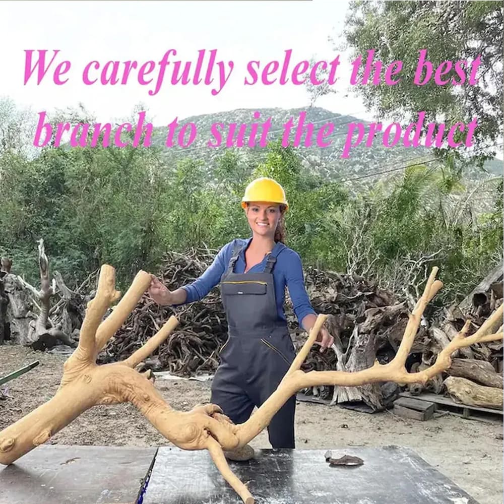 Tree branch book shelves wall mount driftwood floating shelf rustic shelving unique gift for mom