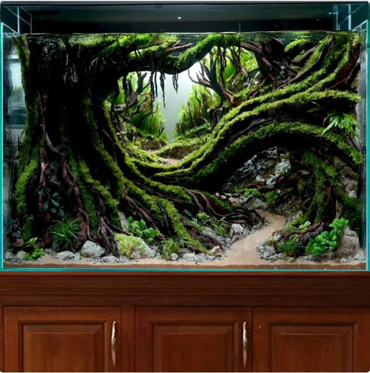 Custom - Abbas Naqvi